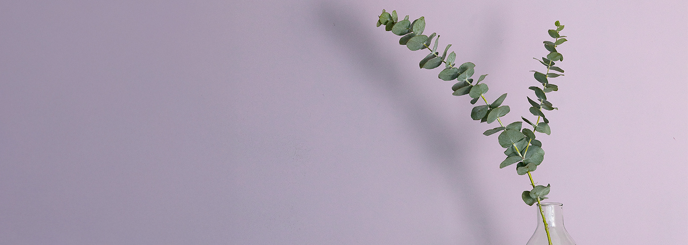 Muted lavender painted wall with a glass vase and eucalyptus stems.
